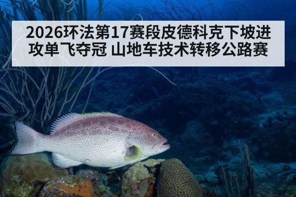2026环法第17赛段皮德科克下坡进攻单飞夺冠 山地车技术转移公路赛（KAIYUN SPORTS）