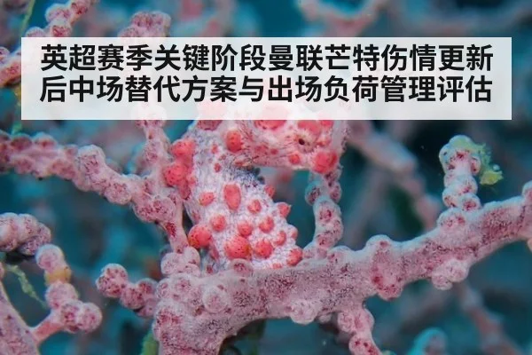 英超赛季关键阶段曼联芒特伤情更新后中场替代方案与出场负荷管理评估 - KAIYUN SPORTS